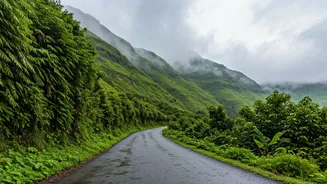 The Misty Western Ghats Are Perfect For Roadtripping Now