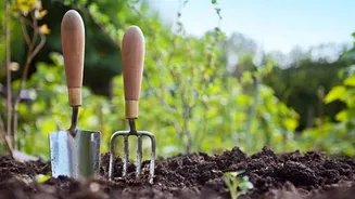How to practice eco-friendly gardening