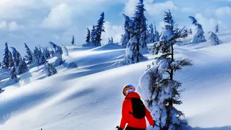 Top Himalayan Locations Where Fresh Snowfall Creates Perfect Powder For Downhill Skiing