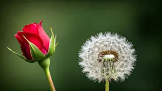 Related Stories banner