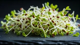 Sprouts Add Freshness To Rainy-Season Menus