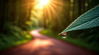 Embrace Your Path: Bhagavad Gita's Wisdom on Sidestepping Comparison