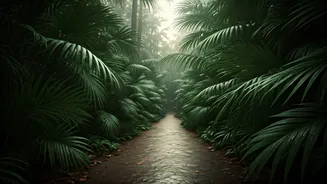 India's Monsoon Is Back! Follow These 10 Rules