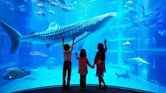 10 Destinasi Wisata Akuarium di Dalam Ruangan, Ada di Jakarta!