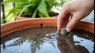 How to dry out waterlogged balcony containers using budget-friendly drainage retrofits safely
