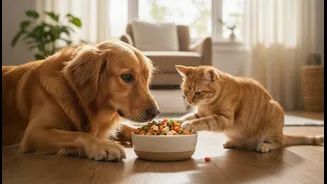 Pet Pampering Needs Calories, Not Just Cuteness