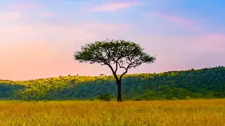 Why Travellers Are Finding Calm Inside a South African Adventure