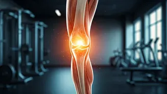 Build Insane Joint Power With Low Impact Calisthenics