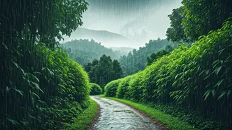 Kerala Monsoon Travel Is Budget-Friendly And Beautiful