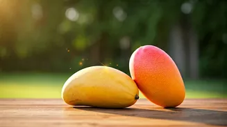 Alphonso To Dasheri: Learn Intricate Regional Fruit Lineages Now