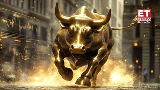 Market recap 2025: Investors earn Rs 30.2 lakh crore despite Rs 1.6 lakh crore FII sell-off