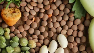 The Practical Case Around PM POSHAN's Updated Ingredient Rules Centres On Preserving Nutritional Value