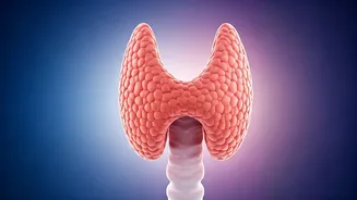 Stress & Thyroid Health: What's the Connection?