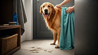 Rainy Walks Need Better Post-Walk Cleaning