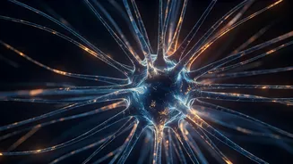 Decoding the Unseen: How Relationships Influence Our Mental Well-being