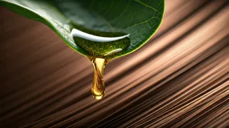 Jojoba Oil Could Be Your Hair's Best Friend