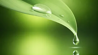 Summer Skin Survival: Ahmedabad Dermatologist's Top 8 Skincare Secrets Revealed!