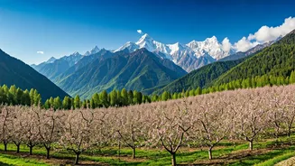 Harsil Gives Himalayan Views Without Tourist Chaos
