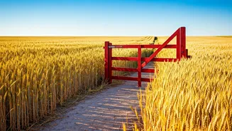 5 Things You Should Never Apologize For in Life