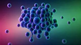 Unlock Better Health: A Few Minutes of Intense Exercise Daily Slashes Risk of 8 Major Diseases!