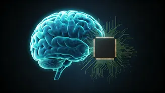 Brain vs. AI: Striking Similarities Scientists Discover