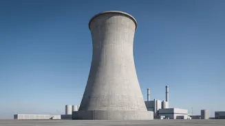 IAEA Nuclear Power Projection: The Role Of Firm Low-Carbon Generation