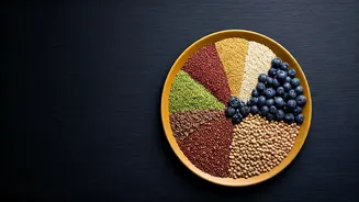 Indian Plates Are Getting A Fibre-Led Reboot