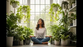 Best Indoor Plants Improve Health, Air, Stress