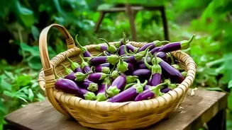 August Monsoon Superfoods Celebrate India's Fresh Seasonal Harvest And Local Flavours