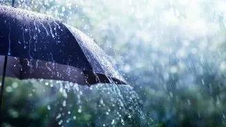IMD says heavy rain expected in Delhi-NCR on August 7