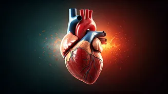 Ultra-Processed Foods: A 67% Heart Attack Risk Surge Revealed