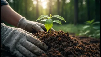 Large drives can support biodiversity if survival is measured: why Harela's Sapling Drive matters