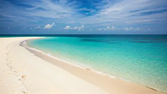 Explore India's Goa: A Tropical Paradise Beckons!