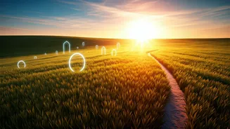 11 Essential Psychological Skills for Children's Early Success and Lifelong Well-being