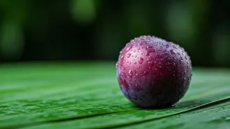 The Best Sweet Plum Routine For Monsoon Glow