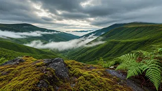 Aizawl Offers Calm Monsoon Escapes