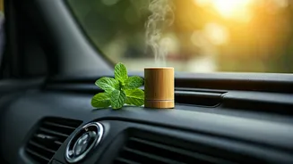 Banish Car Odors: 5 Simple & Effective Solutions for a Fresh Ride