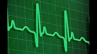 Slow Heart Rate? Doctors Explain When Bradycardia Is Normal And When To Worry