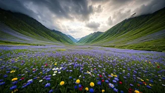 Monsoon Turns Valley Of Flowers Into Magic