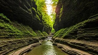 Visit These 10 Gems In New York This Summer.