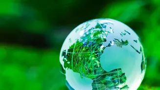 How Forest Cover And Habitat Quality Shape Conservation Findings
