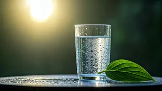 Debunking the 8-Glass Water Myth: What Truly Leads to Clearer Skin?