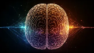 The Vivid Dream Paradox: Why Restless Nights Make Dreams Feel Unforgettably Real