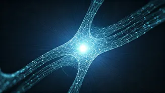 AI Learning Is India's New Obsession