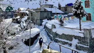 Rain, fog & snowfall across north India; temperature set to rise in Delhi