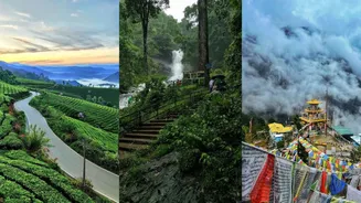 Related Stories banner