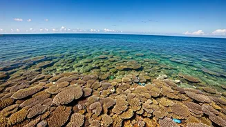 India's Fight: Tackling Marine Pollution