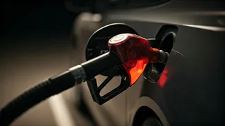Government Responds To Criticism Over E20 Petrol