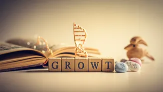 Beyond the Cake: Crafting Meaningful Celebrations for Every Childhood Milestone