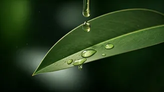 Stop Layering Too Many Skincare Products This Monsoon